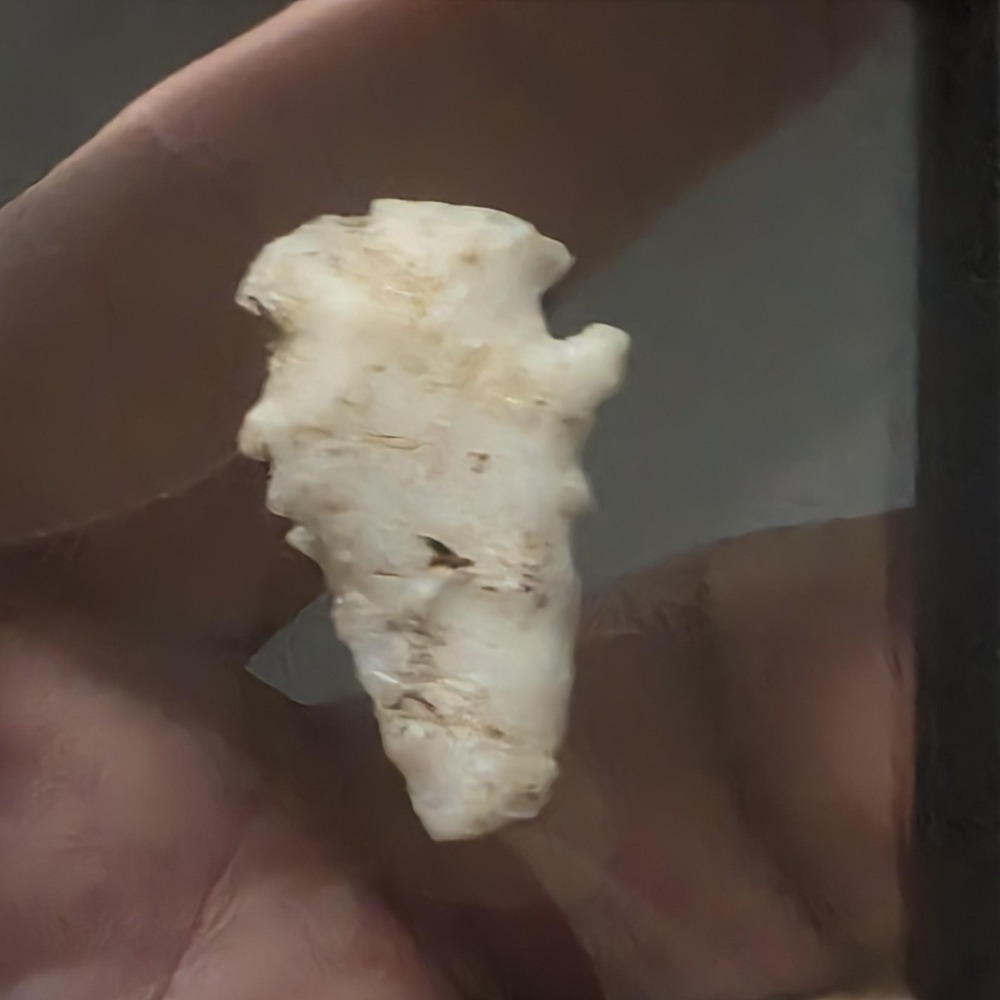 Stone Projectile Point Lithic – Mexico Origin – Unauthenticated - Picture 4 of 4
